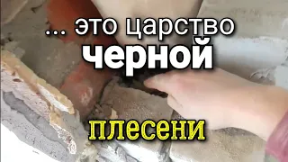 ... конечно ПЛЕСЕНЬ будет!!! Как без неё в ЭТОМ случае. Ошибки строительства и ремонта.