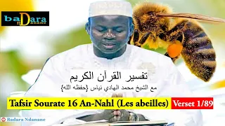 Tafsir Sourate 16 : An-Nahl - Les abeilles Verset 1 à 89 par Oustaz Hady NIASS