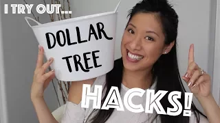Dollar Tree Organization Hacks