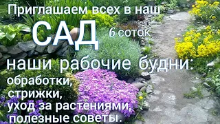 Обрабатываю САД ,что спасёт наши РАСТЕНИЯ ? Метель в конце апреля !