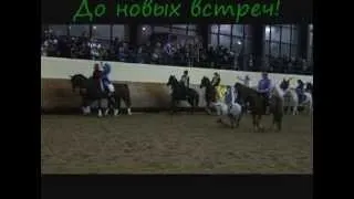 Конный Новый Год  2013 !