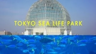 【葛西臨海水族園】 KASAI TOKYO SEA LIFE PARK
