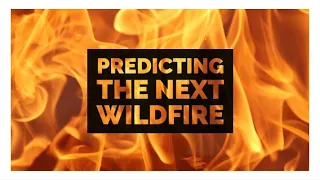 Predicting wildfires
