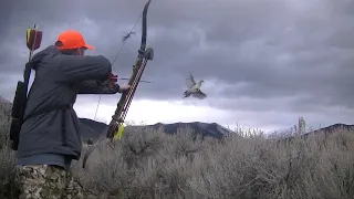 Pheasant Hunt with Recurve Bow