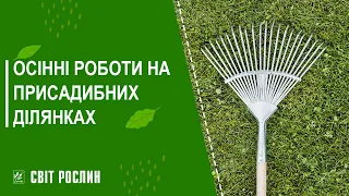 Осінні роботи на присадибних ділянках