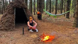 3 Days Camping, Cooking, Surviving in Giant Pine Forest