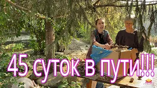 Вернувшаяся посылка. 45 суток в пути! / Сад Ворошиловой