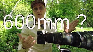 Is it worth buying a 600mm f4 lens for your wildlife photography? by "Camilla & I"