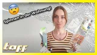 Was tun gegen Spinnen in der Wohnung? | taff | ProSieben