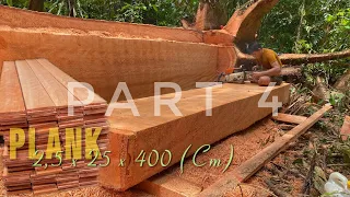 TOP TEKNIK‼️ PART 4 PENGOLAHAN KAYU KETAPANG MENGGUNAKAN MESIN GERGAJI STIHL || CORAK KAYU KETAPANG