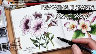 Drawing Petunias Full Tutorial | Freehand Ink and Watercolor Wash