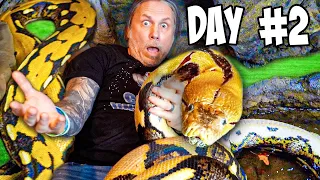 50 Hours Locked In My 20 Foot Snakes Cage!