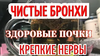 Всего 1 стакан в день! Бронхи чистые Нервы Крепкие и Почки здоровы