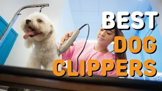 Best Dog Clippers in 2022 - Top 5 Dog Clippers