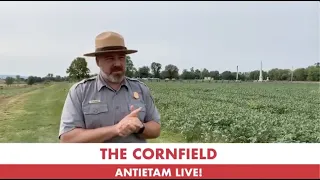 Into the Bloody Cornfield at Antietam: 158th Anniversary of Antietam Live!