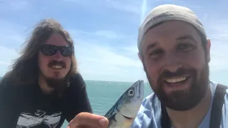 MACKEREL FISHING IN EASTBOURNE LANGNEY POINT AND CATCH AND COOK ON THE BEACH (UK SEA FISHING)