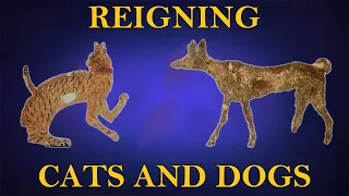 Cats and Dogs in Ancient Egypt