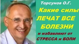 Торсунов О.Г. Какие силы лечат все болезни и избавляют от стресса и боли. Учимся жить.