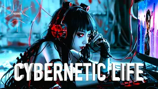 CYBERNETIC LIFE / CYBERPUNK / DARK LO FI / CONCENTRATE / DYSTOPIAN / FUTURISTIK / EBM / ELECTRONICA