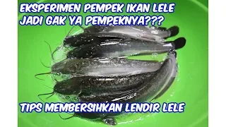 PEMPEK IKAN LELE, JADI NGGAK YA???