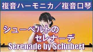 P622. 『シューベルトのセレナーデ』”Serenade of Schubert”　複音ハーモニカ by　柳川優子 Yuko Yanagawa　Tremolo Harmonica 1000　複音口琴