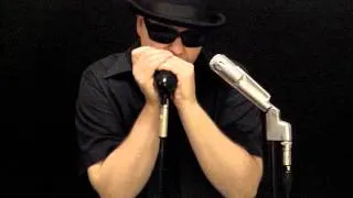 Bye Bye Bird / Sonny Boy Blow - S.B. Williamson II / John Mayall blues harmonica cover