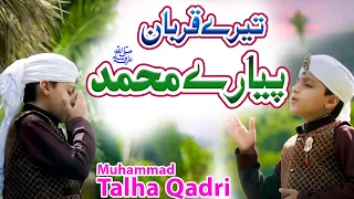 TERY QURBAN PYARY MUHAMMAD  || MOST Beautiful Kallam || Muhammad Talha Qadri