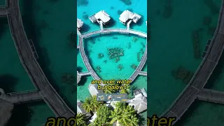 Romantic Destination "Bora Bora Island" The Perfect Romantic Getaway #shorts #viral #relaxing #beach