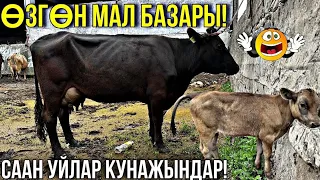 СААН УЙЛАР КУНАЖЫН УРГААЧЫ ТОРПОК БААЛАРЫ 🤯 #байтв