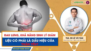 Đau lưng, khả năng sinh lý giảm - có phải là dấu hiệu của thận yếu?