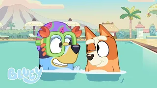 Bluey's Swim School | NEW Season 2 | Bluey