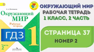 Окружающий мир. Рабочая тетрадь 1 класс 2 часть. ГДЗ стр. 37 №2