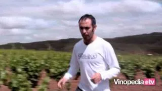 Capítulo 4. La floración de la vid