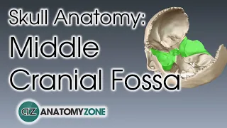 Middle Cranial Fossa | Skull Anatomy