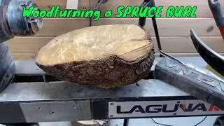 Woodturning a Spruce Burl