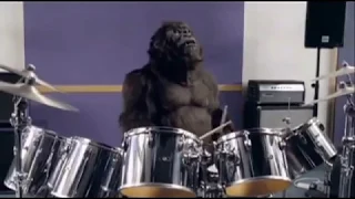 PHIL COLLINS Gorilla Drummer Cadbury Ad Dairy Milk