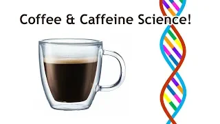 Coffee & Caffeine Science! Does it help performance?