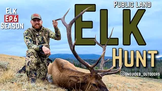 Two Bulls Down Same Day-Archery Elk 2020