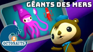 Octonauts - Géants des mers | Dessins animés pour enfants