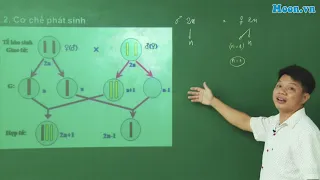 Bài 6 - SH12: Đột biến số lượng NST