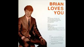 Brian Wilson - Airplane