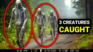 What This Trail Cam Captured Shocked All The Scientists