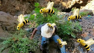 Don jose fue atacado por un enjambre de abejas de panal 😱