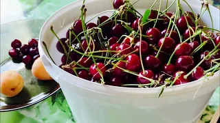 🍒🍒🍒Вишня вашей мечты!!! Лучшая вишня для Урала!Обзор сортов.#вишнянаурале#лучшаявишня