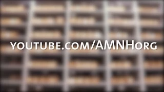 AMNH Channel Trailer