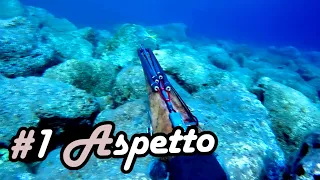 #1 Learn Spearfishing Series - the Aspetto technique