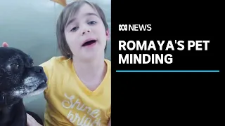 Romaya's pet minding | News Breakfast