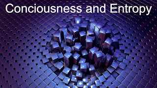 The Relationship Between Entropy and Consciousness