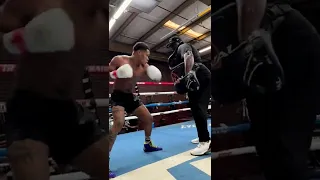 UNDISPUTED CHAMPION DEVIN HANEY THROWS VICIOUS BODY SHOTS