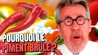 Pourquoi le piment brûle !? 🥵🌶